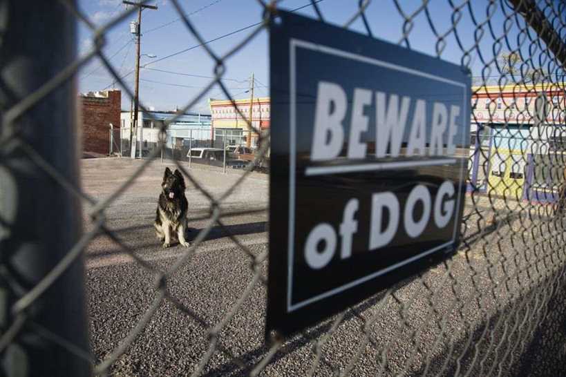 Dog Bite Beware Of Dog Sign
