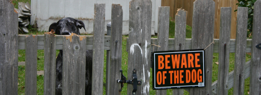 A black dog watching through a wooden fence with a sign saying "Beware of the Dog"