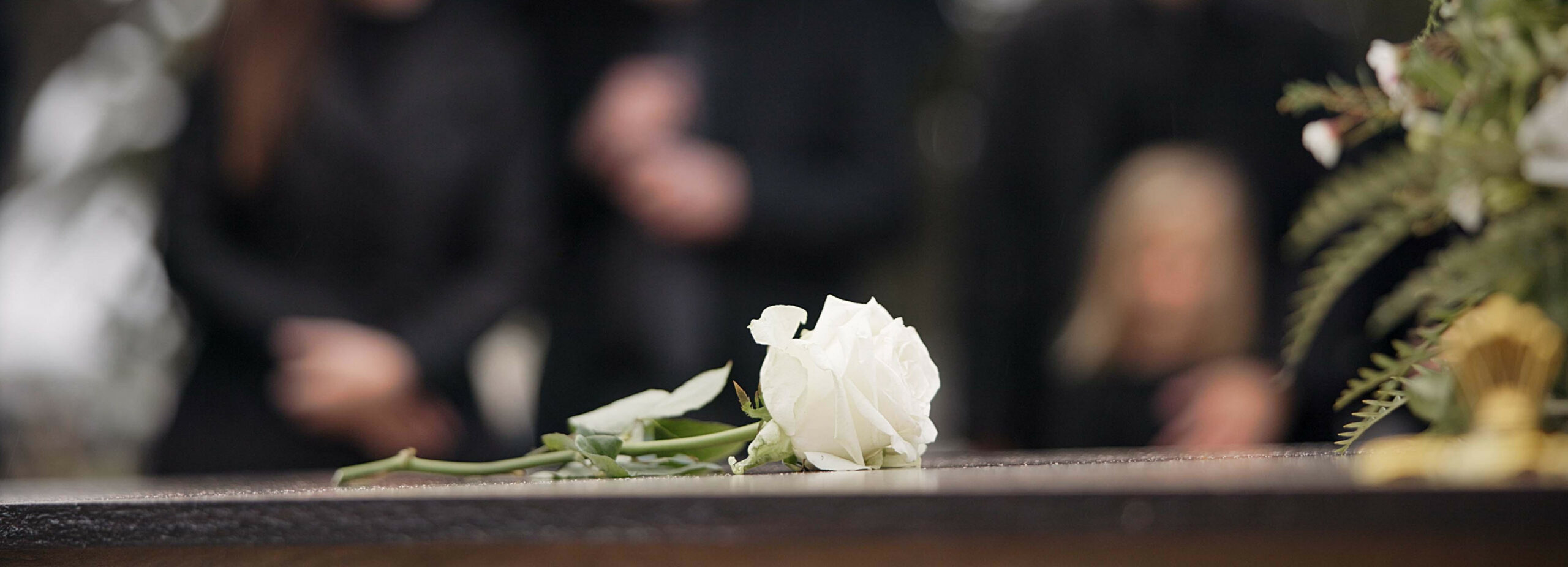 Mourners gathered around a casket in the foreground with a white rose on the lid