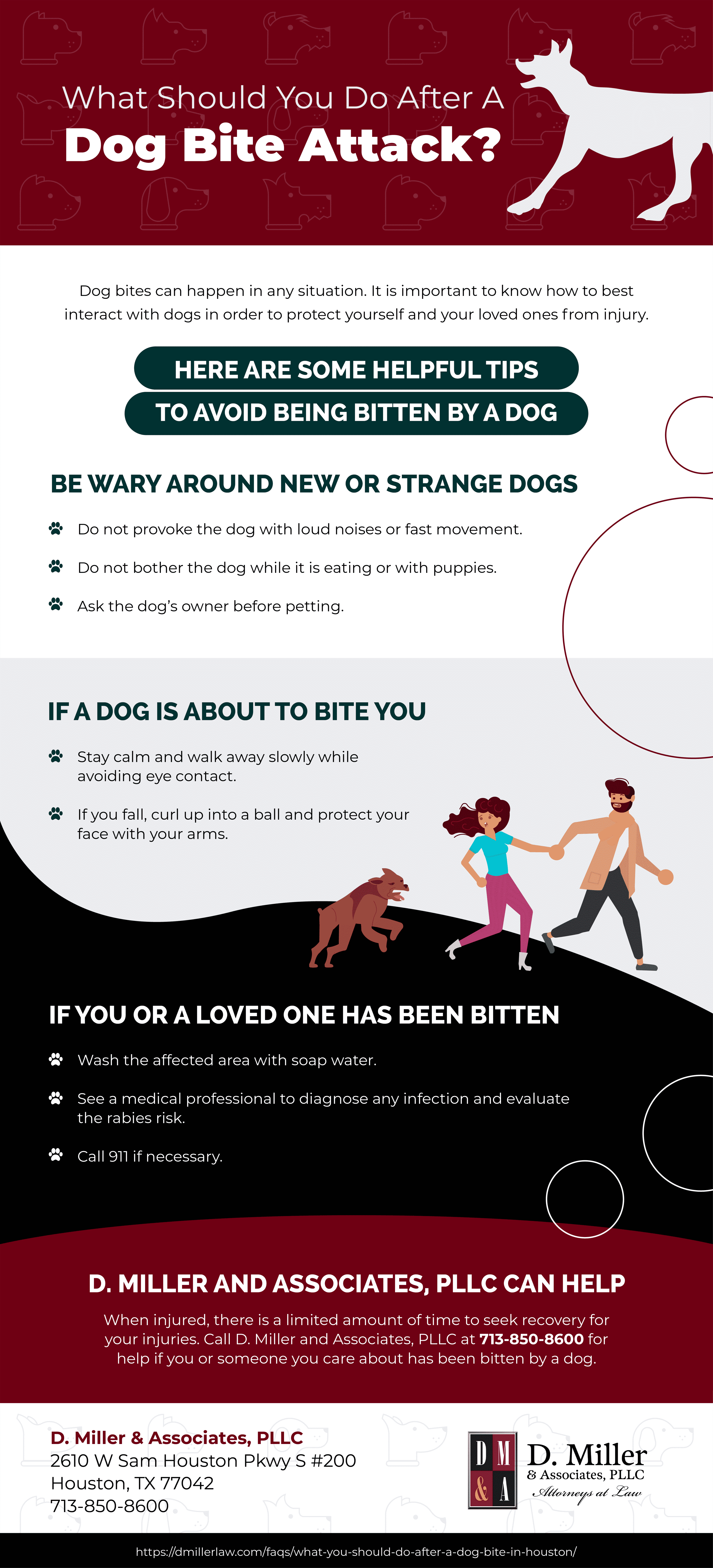 What You Should Do After A Dog Bite In Houston?