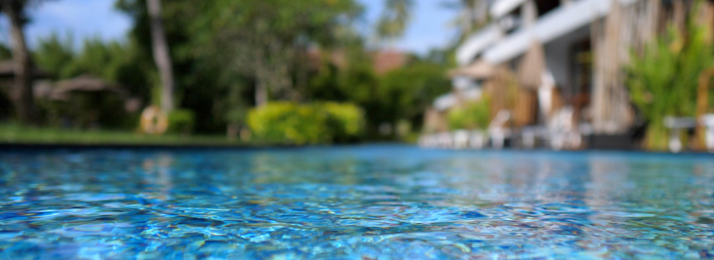 View from a backyard pool above the water level